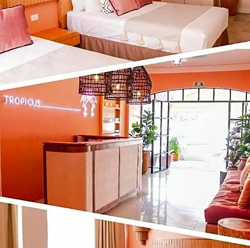 Tropicus Boutique
